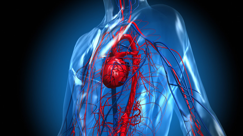 Врач раскрыла злейшего врага здоровья сердца