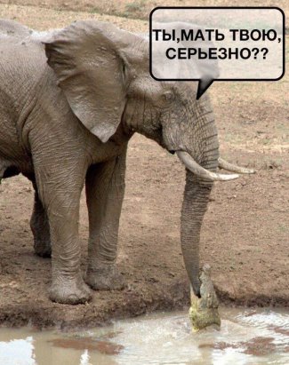 Изя Гольдберг получает по почте приглашение от Рабиновича на свою серебряную свадьбу... Изя Гольдберг получает по почте приглашение от Рабиновича на свою серебряную свадьбу...