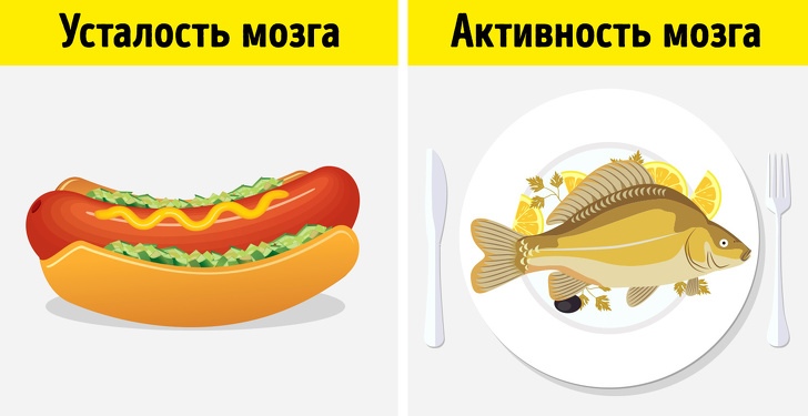 8 неочевидных признаков того, что организму позарез нужны жиры 8 неочевидных признаков того, что организму позарез нужны жиры