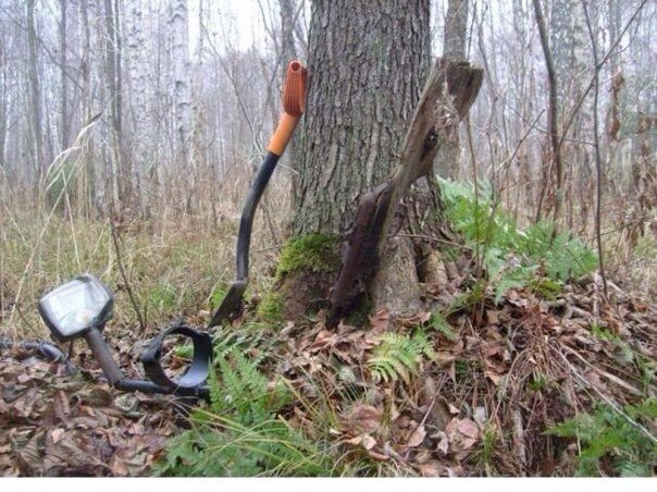 Эхо войны Эхо войны