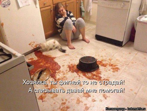 Уморительные котоматрицы для отличного настроения Уморительные котоматрицы для отличного настроения