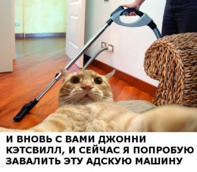 Самые известные мемы в истории Интернета Самые известные мемы в истории Интернета