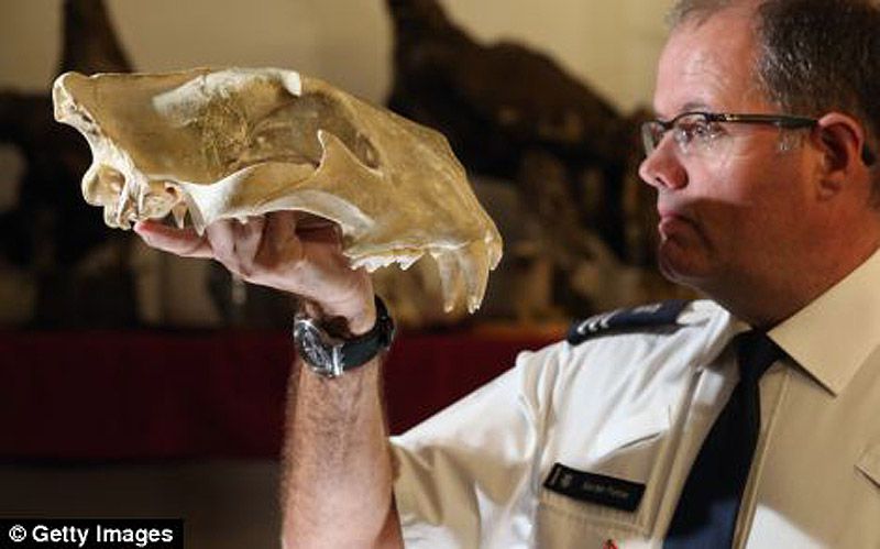 аэропорт, контрабанда, конфискация, Лондон, таможня