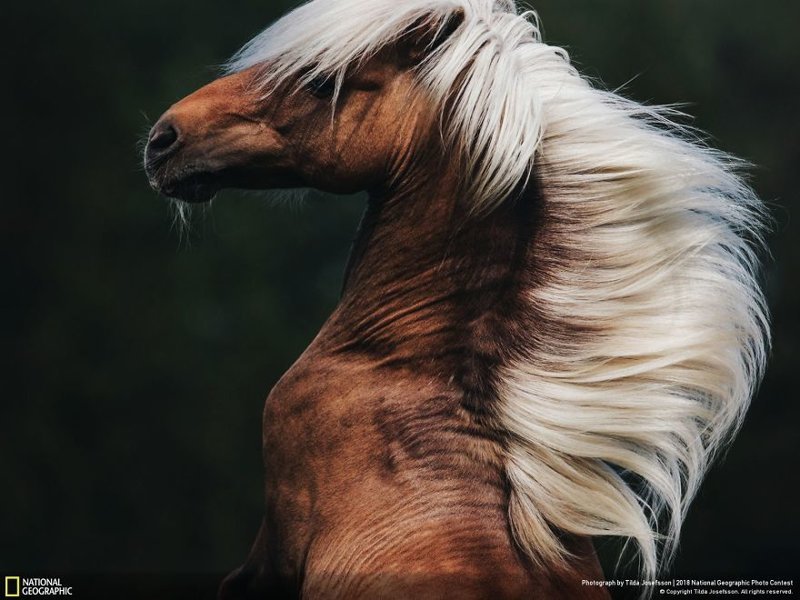 Волны, Тильда Йозефсон national geographic, конкурс, красота, природа, удивительно, фото, фотография, фотоподборка