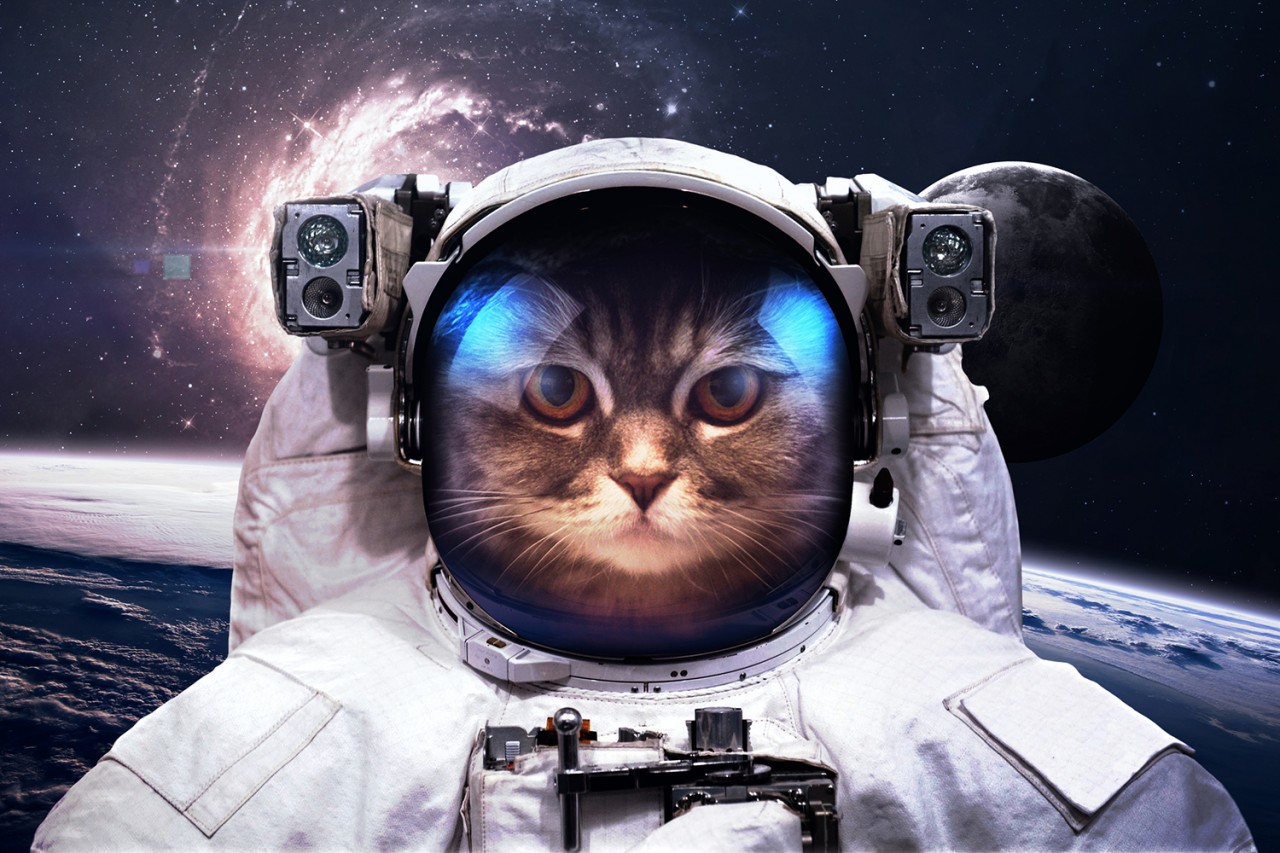 Люди связанные с космосом Люди связанные с космосом