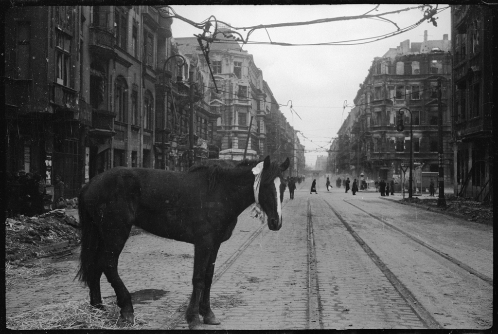 Военный фотограф Валерий Фаминский: 1943-45 гг Военный фотограф Валерий Фаминский: 1943-45 гг