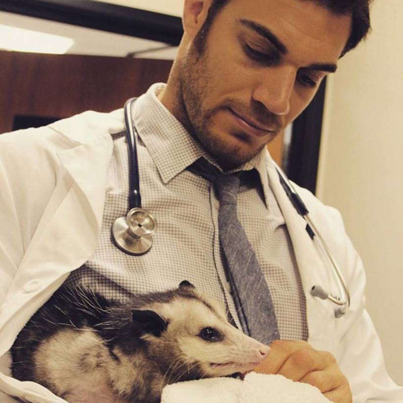 Самый удивительный ветеринар Америки, покоривший людей своей любовью к животным