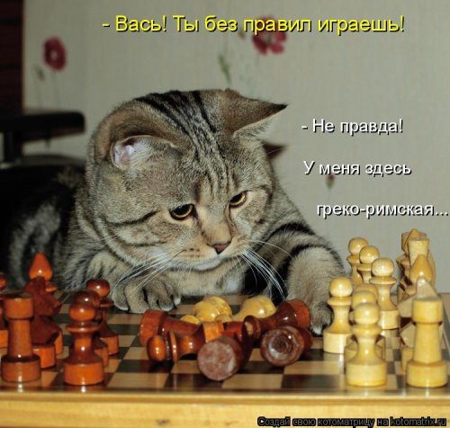 Уморительные котоматрицы для отличного настроения Уморительные котоматрицы для отличного настроения