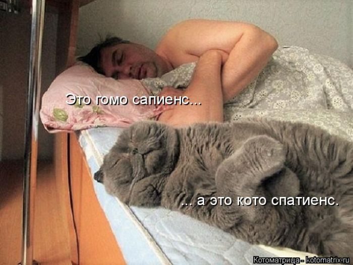 Лучшие котоматрицы, которые зарядят вас позитивом) Лучшие котоматрицы, которые зарядят вас позитивом)