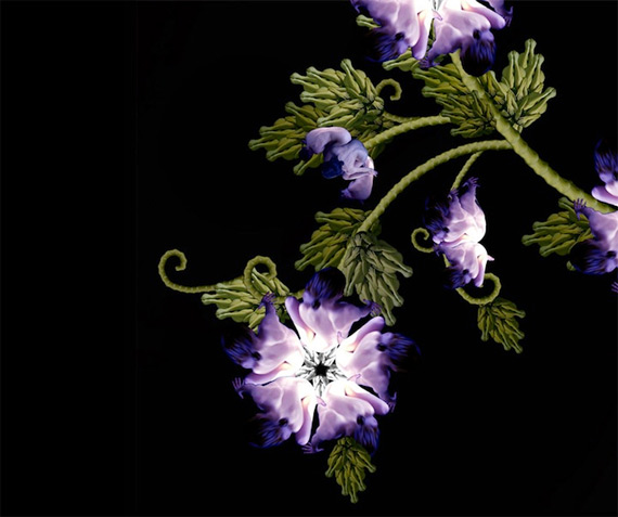 Сесилия Уэббер: Human Flowers