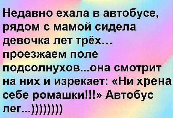 ПЕРЛЫ ДЕТЕЙ И ИХ РОДИТЕЛЕЙ. ПЕРЛЫ ДЕТЕЙ И ИХ РОДИТЕЛЕЙ.