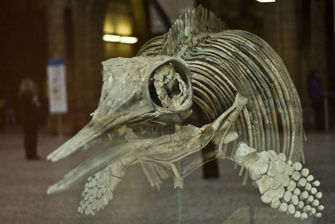 ������� ����� ���������� ������ �������