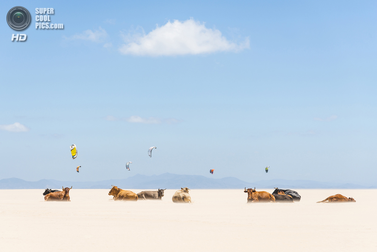 Лучшие снимки фотоконкурса National Geographic 2013