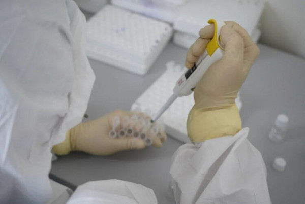 COVID-19 в Севастополе: 25 новых случаев заболевания и одна смерть