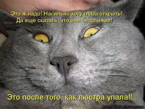 Уморительные котоматрицы для отличного настроения Уморительные котоматрицы для отличного настроения