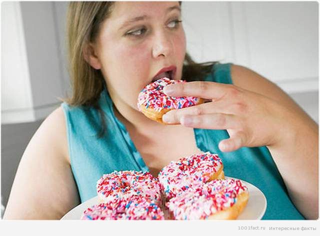 о человеке_избыточный вес