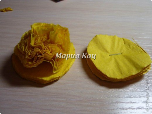 ������ �������� ������-����� ������������� ��������������� ����������� ���� +�� �� �������� ������ ������������� ������ �������� ���� 5