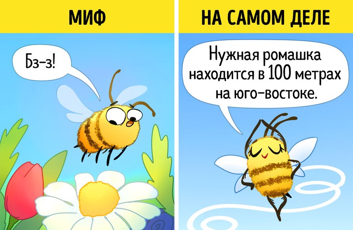 9 великих научных мифов, после которых вы усомнитесь в том, что уже знали 9 великих научных мифов, после которых вы усомнитесь в том, что уже знали
