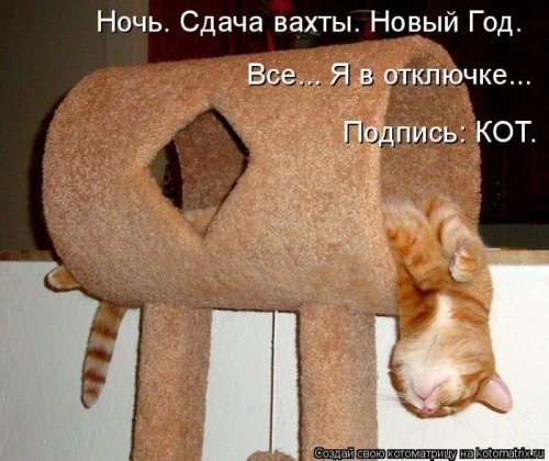 Лучшие котоматрицы недели, 25 фото