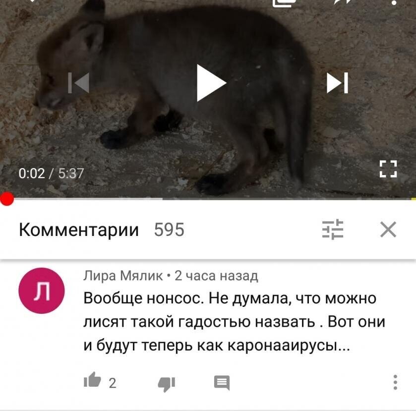 Грамотеи XXI века Грамотеи XXI века
(21 фото)