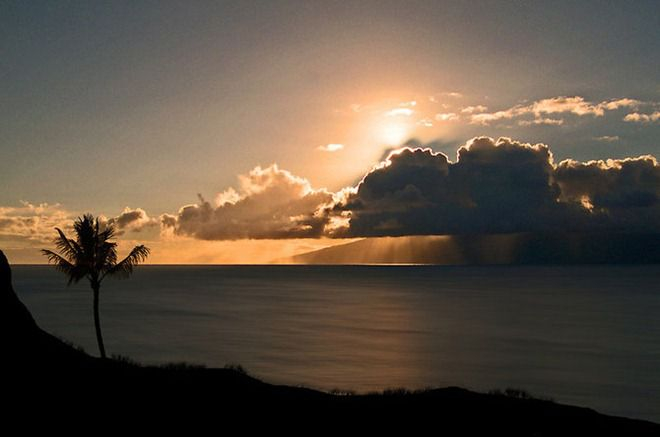 Peter Holme III Tutt'Art@ (4) (660x437, 140Kb)