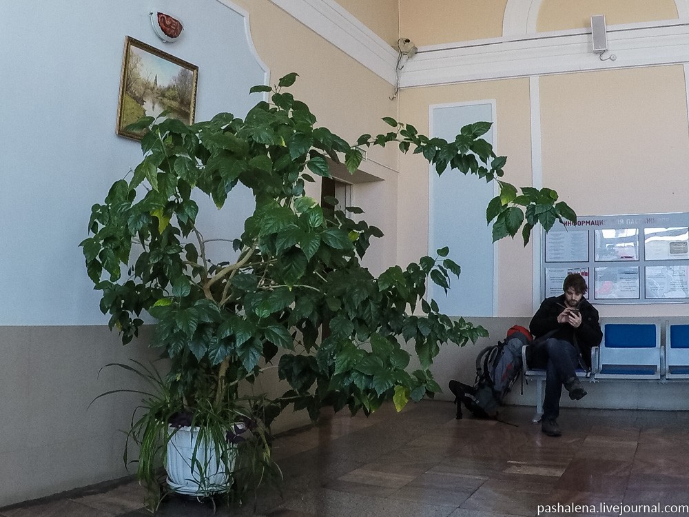 Ненавязчивый сервис монгольских железных дорог Ненавязчивый сервис монгольских железных дорог