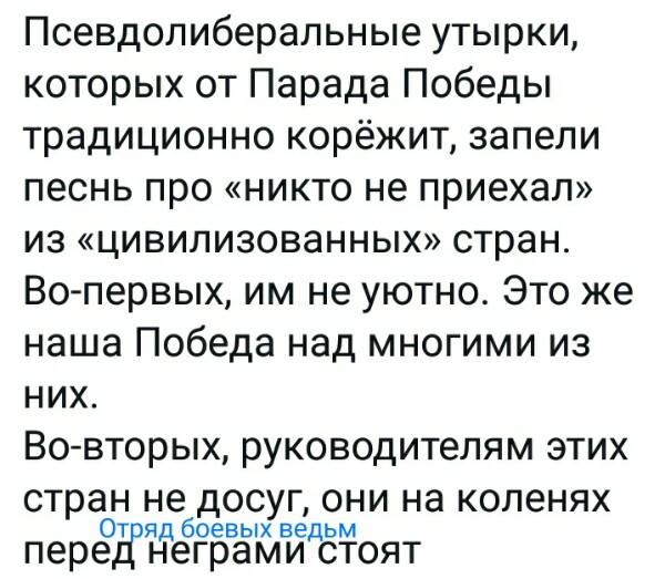 «Путин - это супермен на драконе»: японцы высказались о грандиозном Параде Победы в Москве