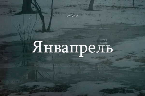   :  
