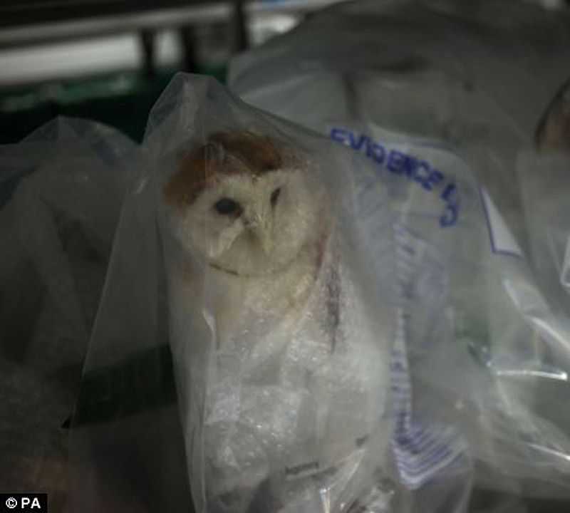 аэропорт, контрабанда, конфискация, Лондон, таможня