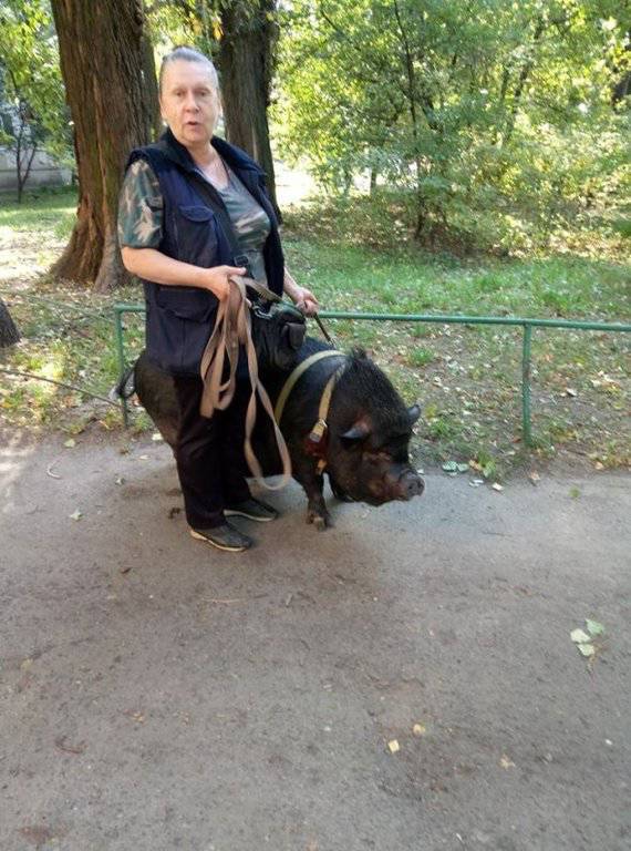 В странное время мы живем В странное время мы живем