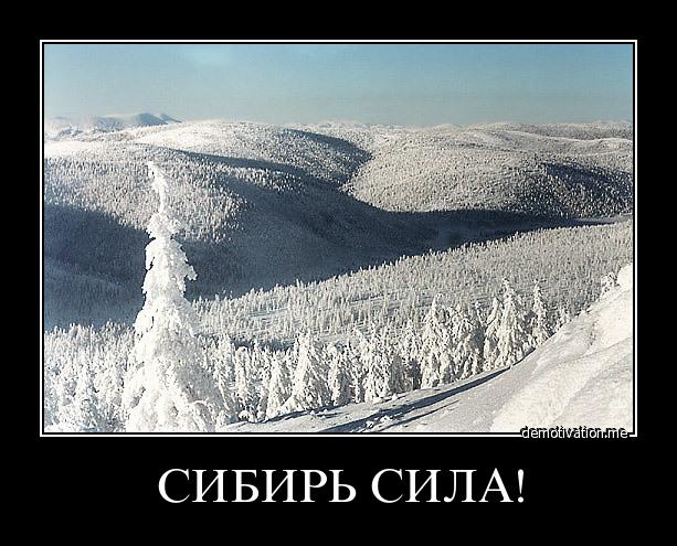 СИБИРЬ СИЛА! :