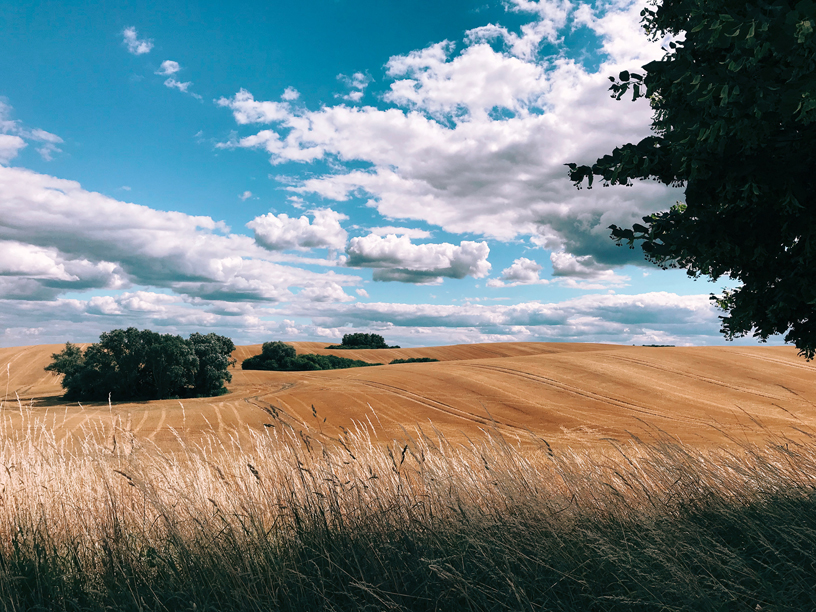 Fotografiado con un iPhone 7 por Robert Glaser