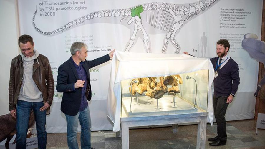 Найденный в Сибири новый вид динозавров назвали сибиротитаном