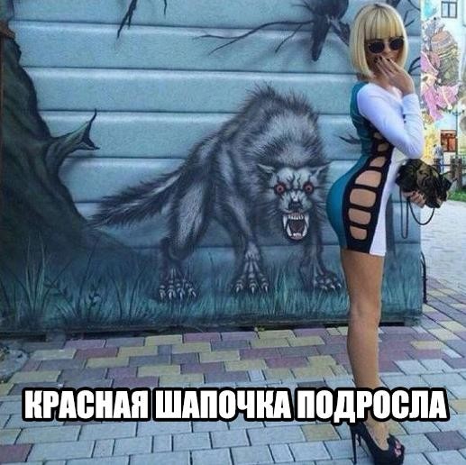 Смешные картинки с надписями Смешные картинки с надписями прикол, юмор