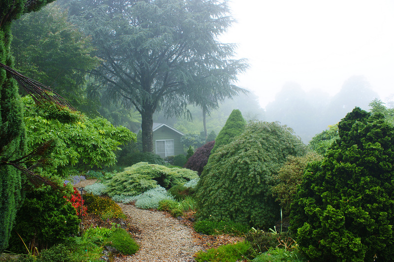 MERRY GARTH GARDENS. 