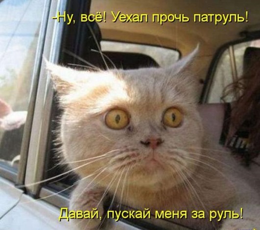 72762ec674f8d0d0a36f501903c_prev