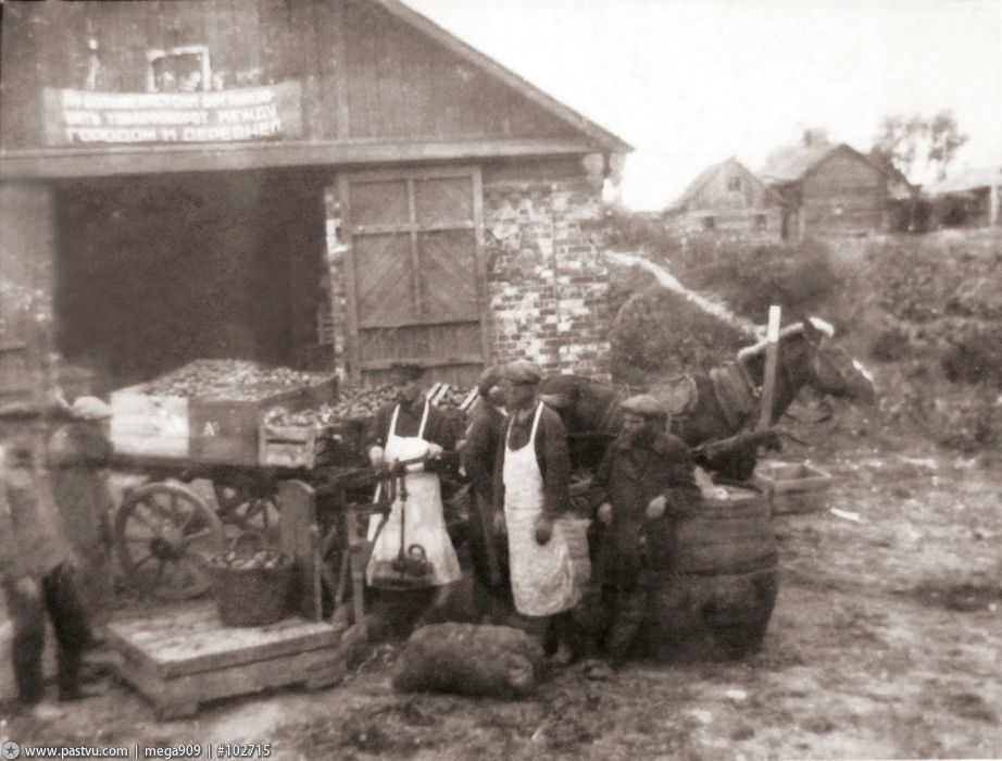 Прогулки по Коломенскому. Государев двор. Прогулки по Коломенскому. Государев двор.