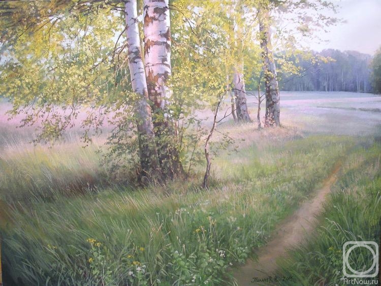 Вячеслав Палачёв. Природа России глазами художника Вячеслав Палачёв. Природа России глазами художника
