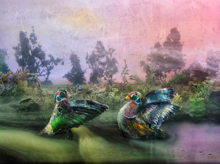 Kim Keever Kim Keever