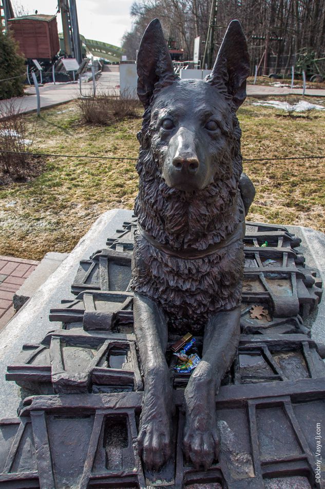 москва, выставки, музей