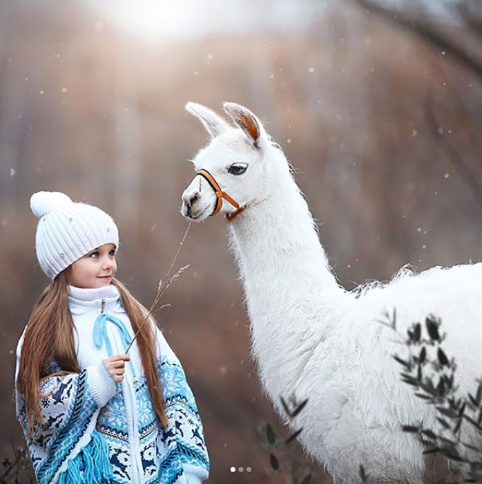 Фотография Анастасии Князевой с альпакой. Instagram anna_knyazeva_official. Фотография Анастасии Князевой с альпакой. Instagram anna_knyazeva_official.