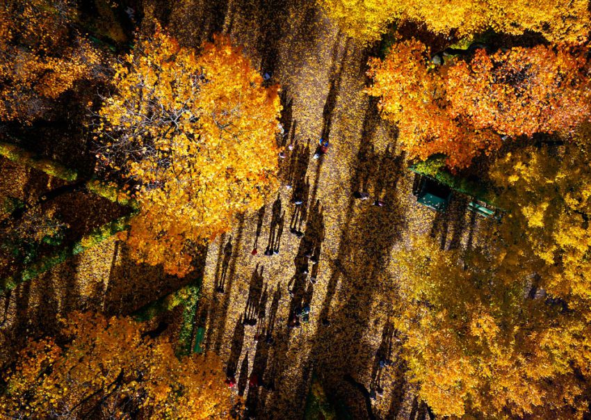 санкт-петербург, с высоты