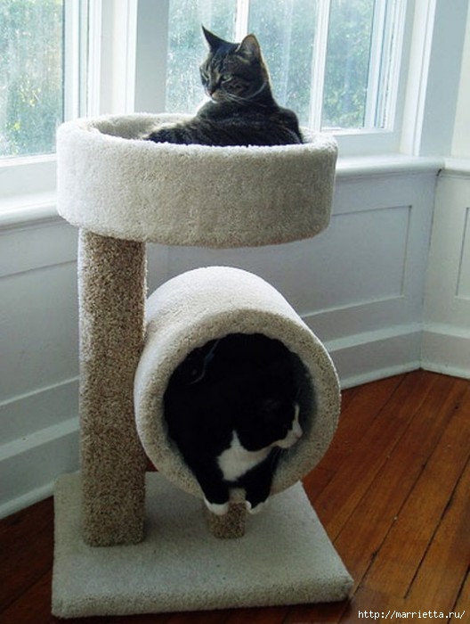 ���������� ������ ��� ��������