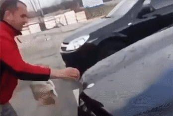 Мужчина помыл машину котом
