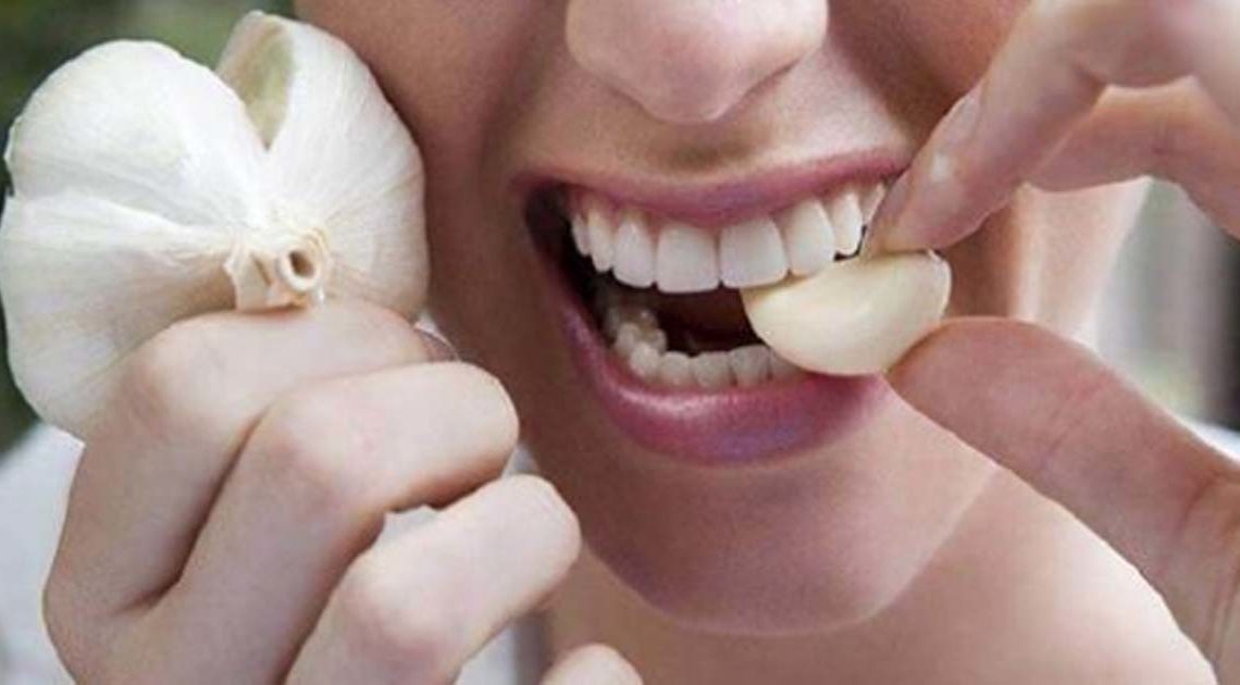 Польза чеснока для организма Польза чеснока для организма