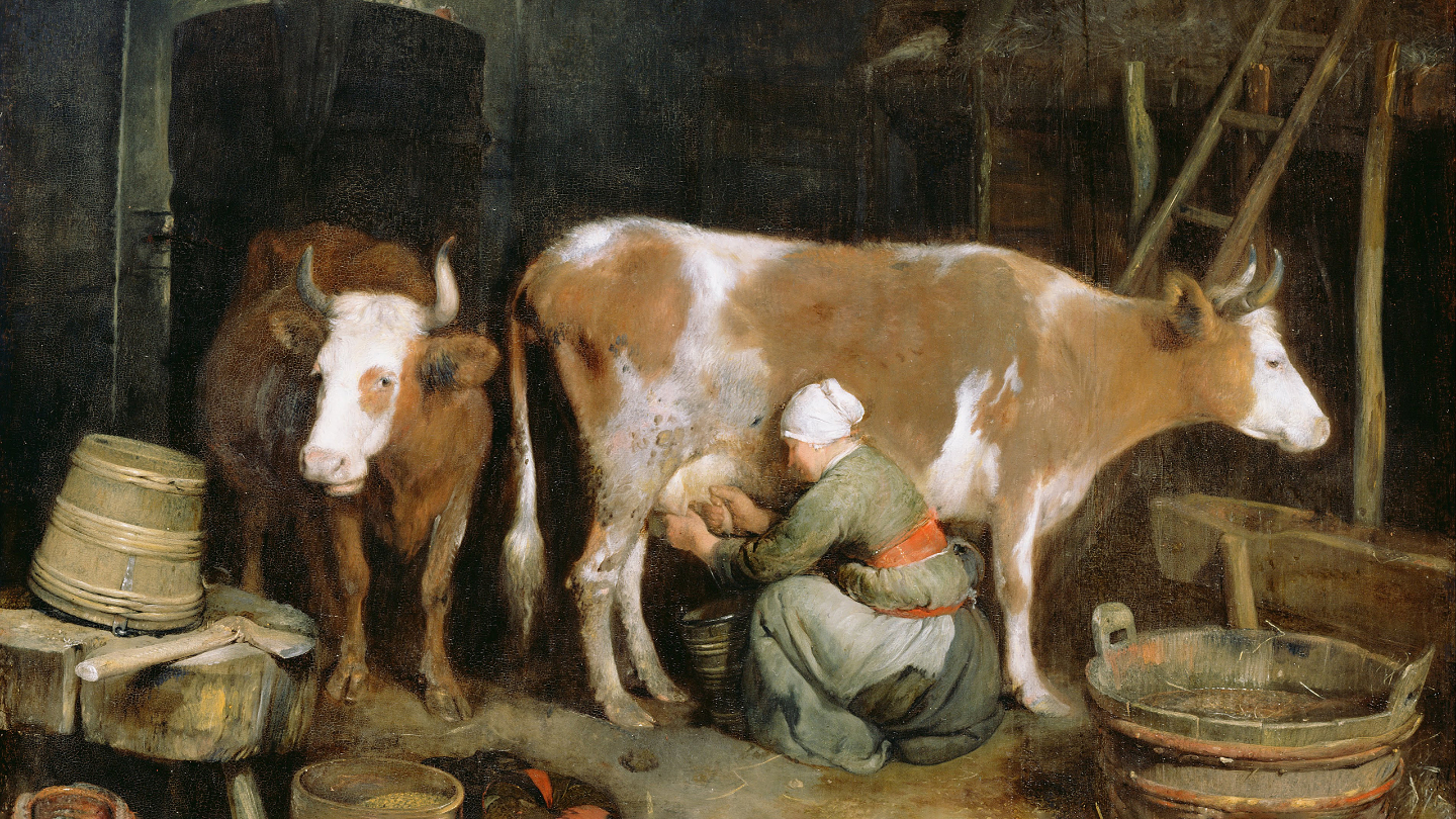 коровье молоко