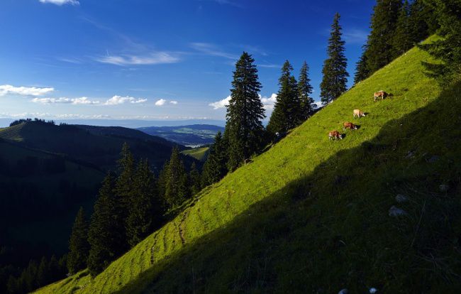 фотошоп, фотография, природа, мир