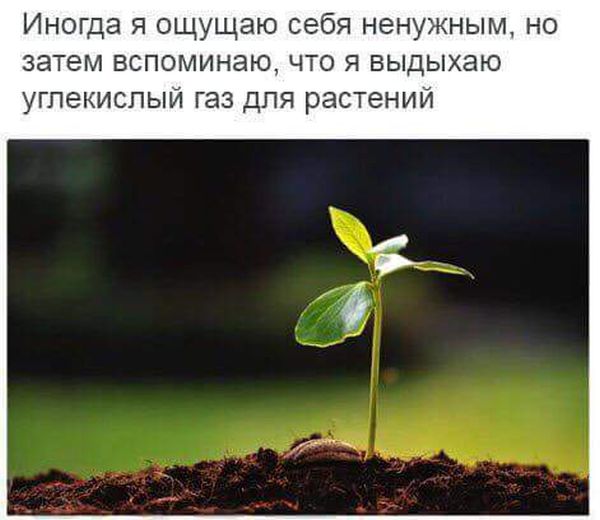 Позитивные картинки с надписями до слез (11 фото) Позитивные картинки с надписями до слез (11 фото)