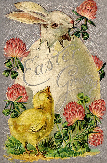 4045361_d232ac8159044347b26d000744fb8287 (420x640, 229Kb)