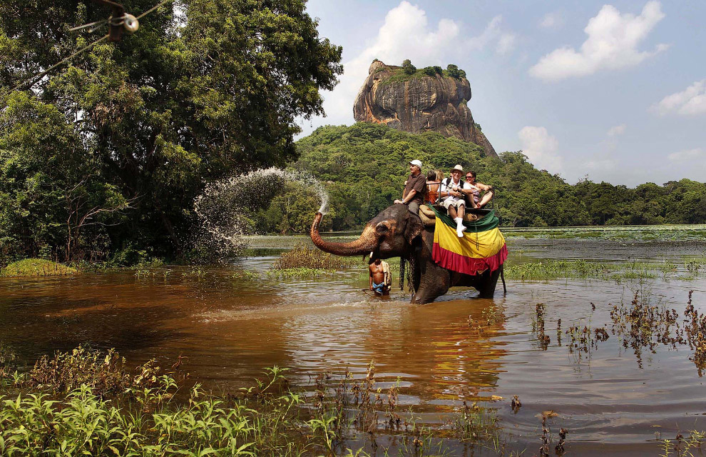 «Туристический слон» в Шри-Ланке